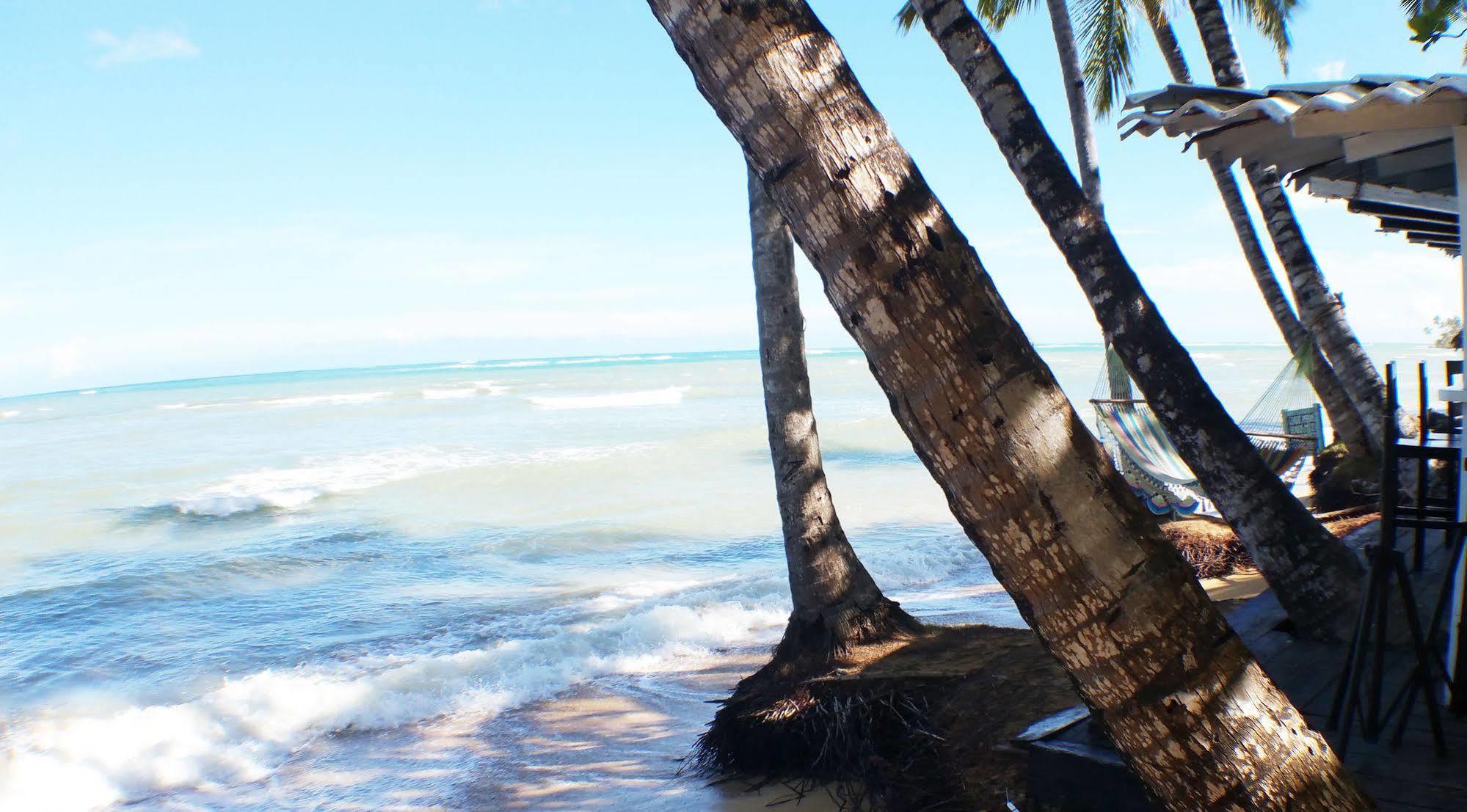 Hotel Los Pinos Las Terrenas Ngoại thất bức ảnh